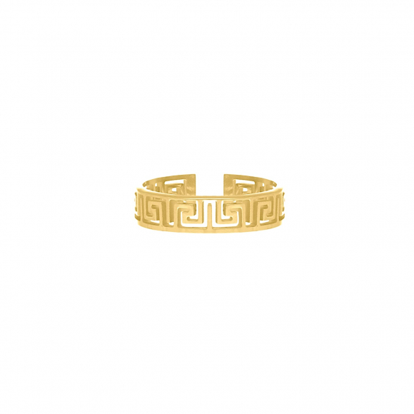 Verstelbare ring met print kleur goud