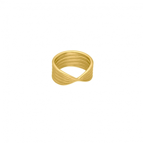 Twist ring goud kleurig