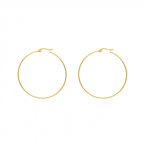 Big hoop earrings goldplated