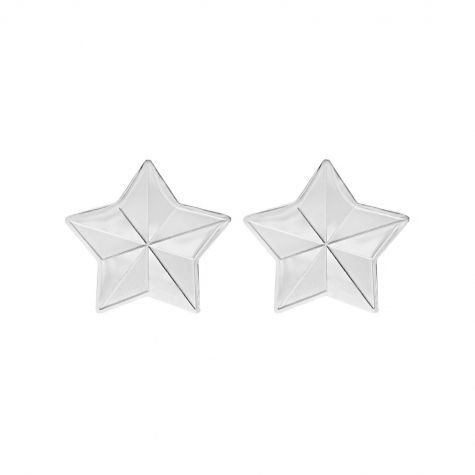 Statement star stud earrings