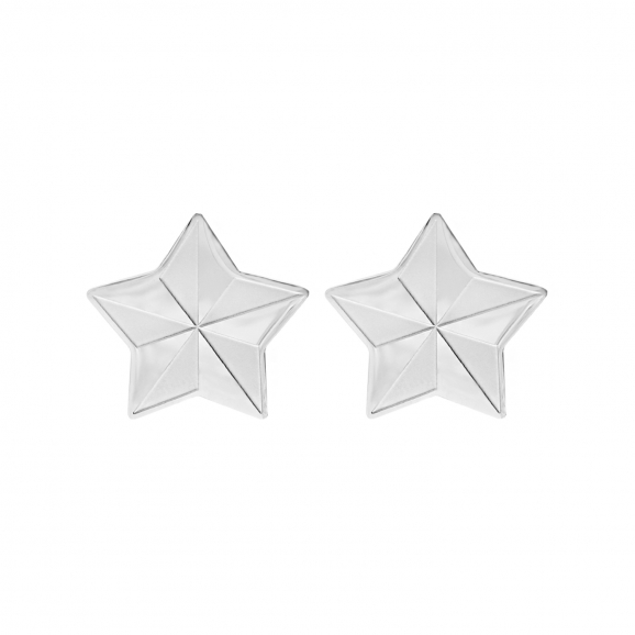 Statement star stud earrings