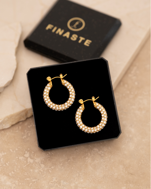Influencer stone earrings goldplated