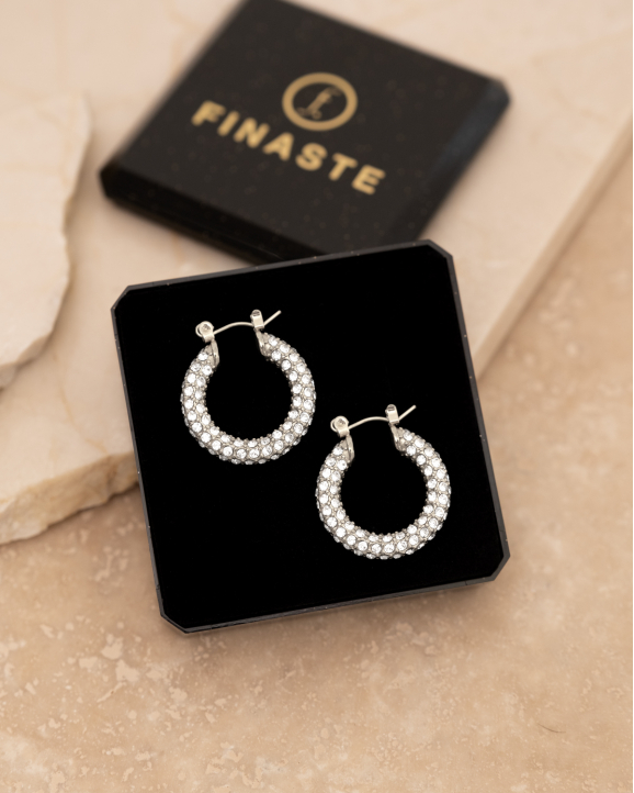 Influencer stone earrings 