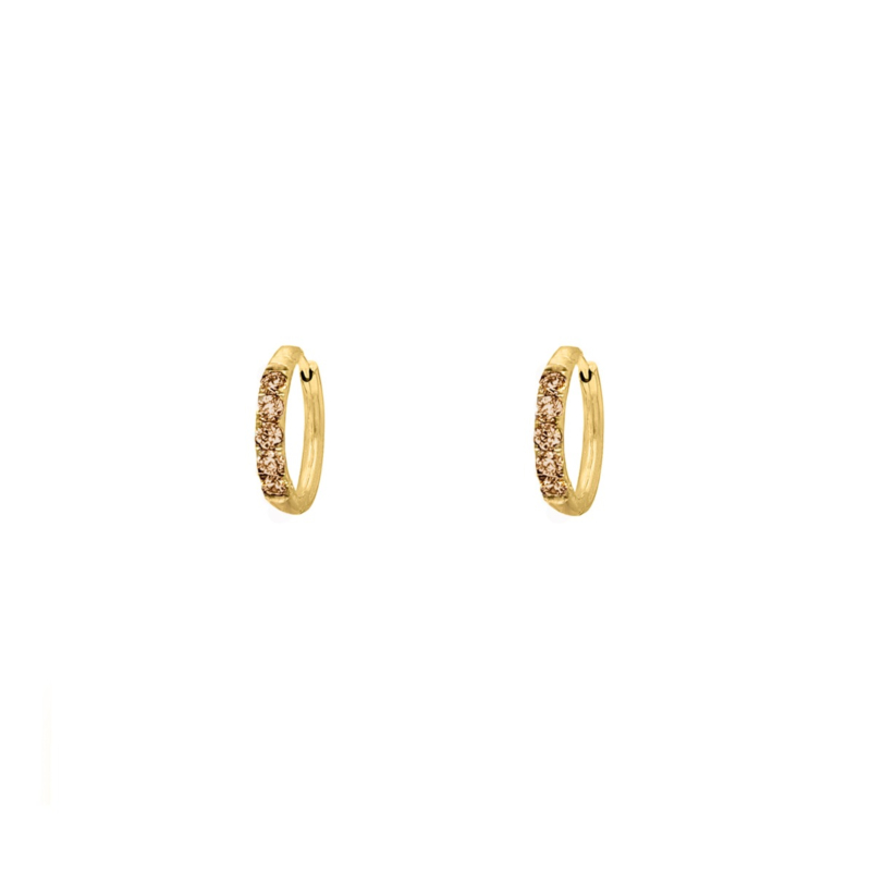 Shiny oorringetjes bruin 8 mm goudkleurig