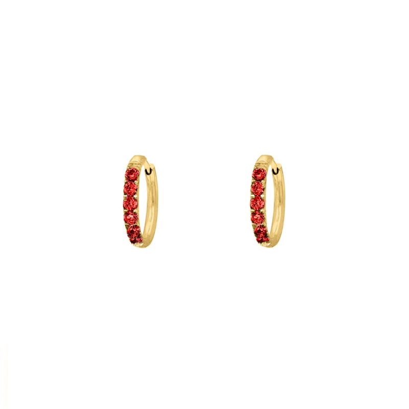 Shiny oorringetjes rood 10 mm goudkleurig