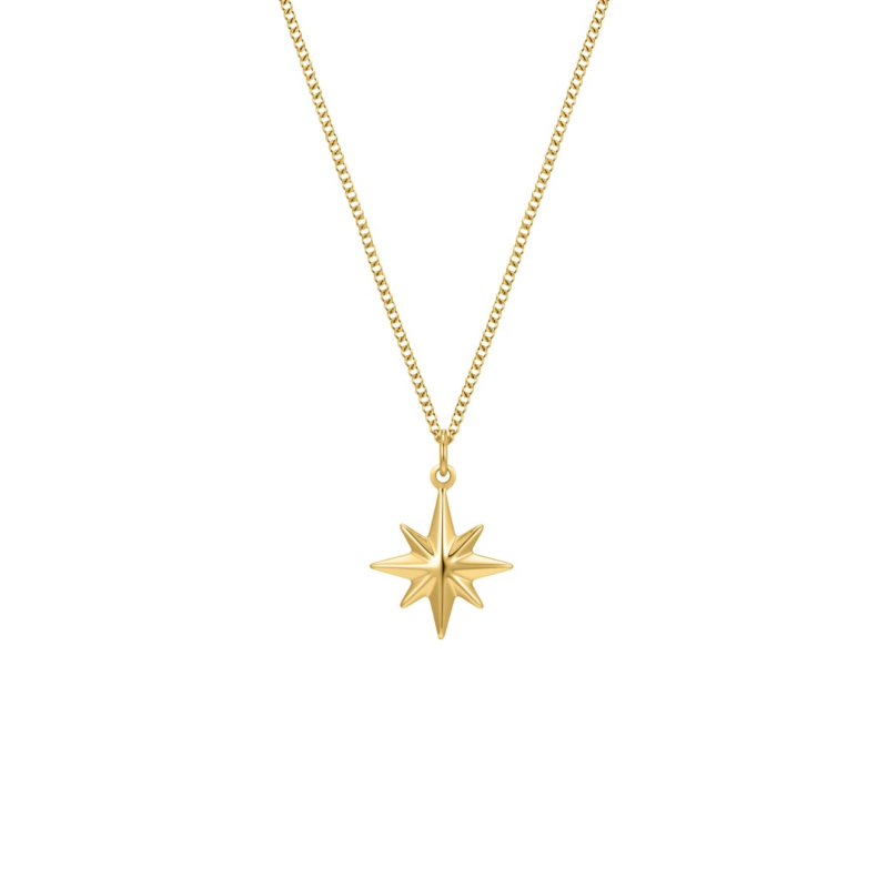 Ketting met ster goudkleurig