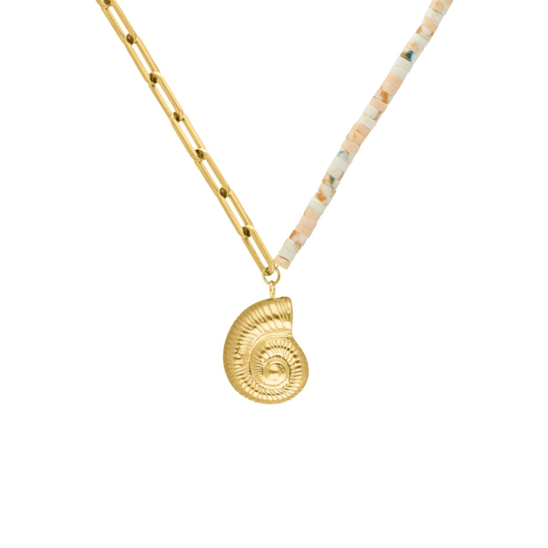 Gekleurde chain ketting met schelp