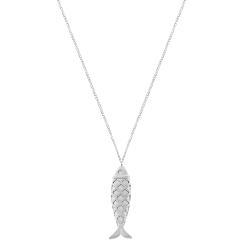 Lange ketting vis