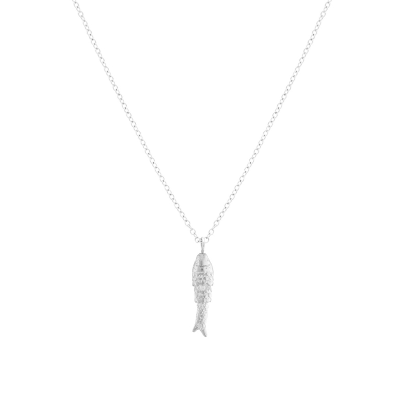 Vis ketting