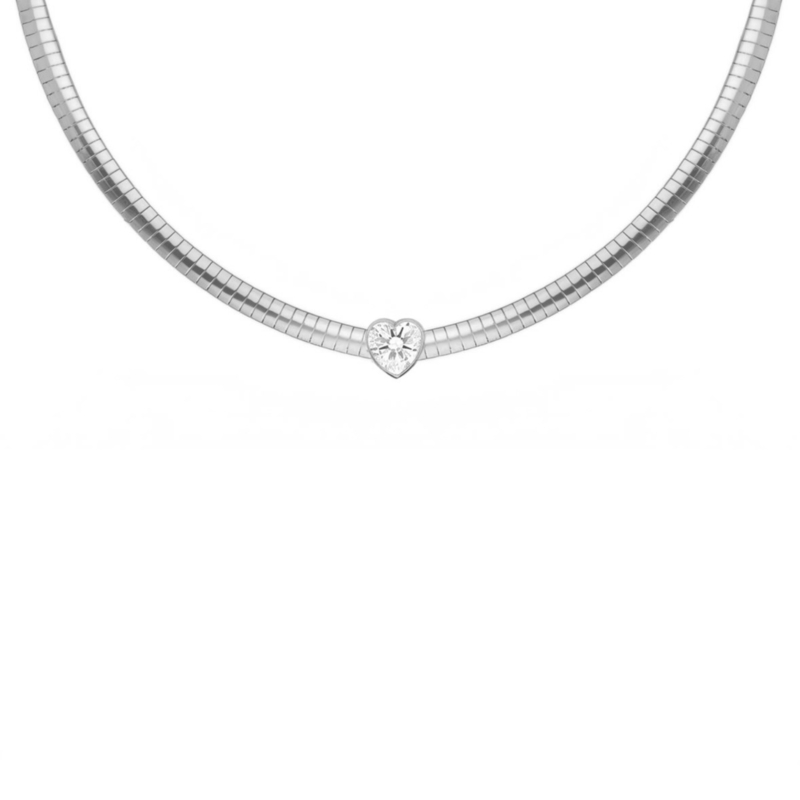 Snake ketting met hartje