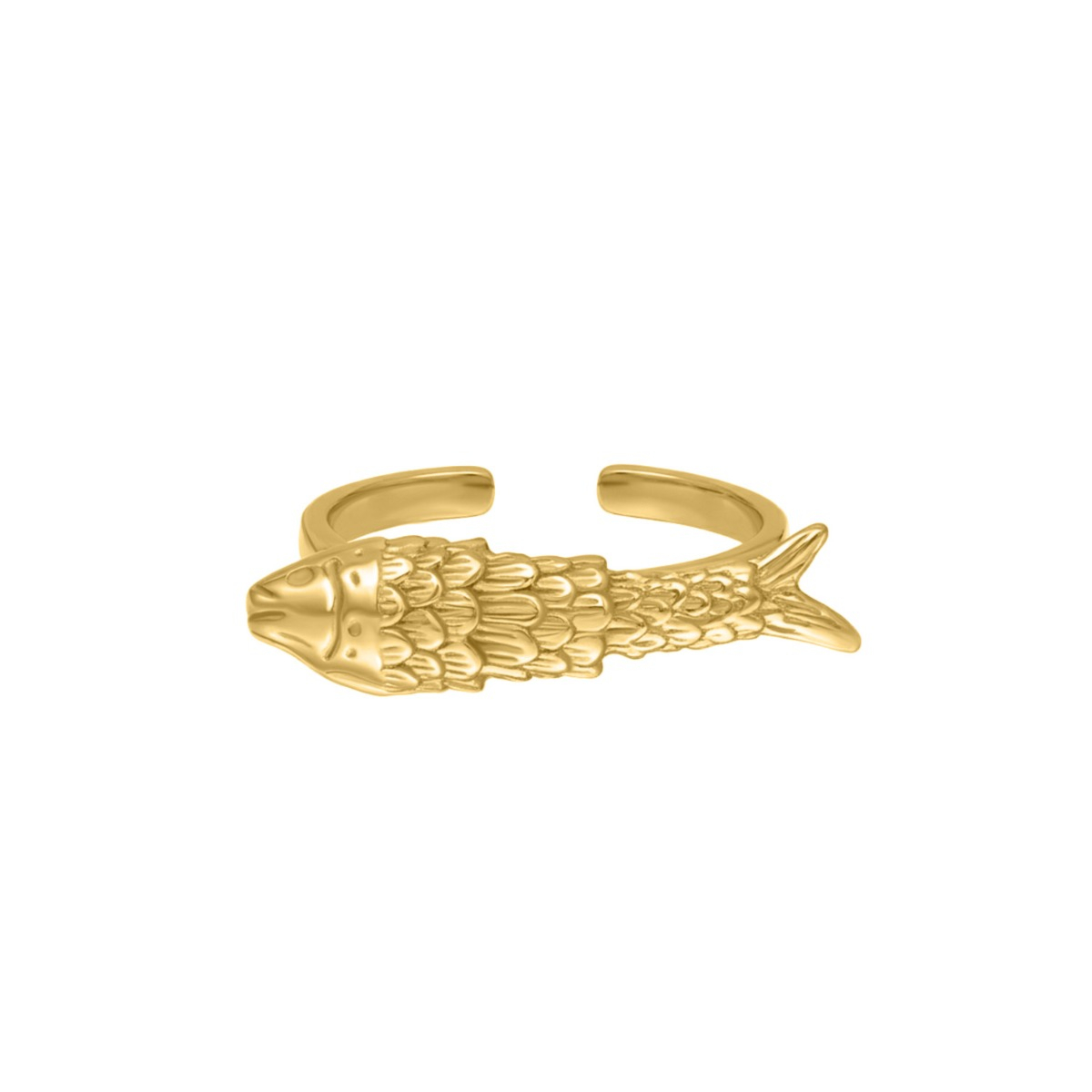 Vis ring goudkleurig