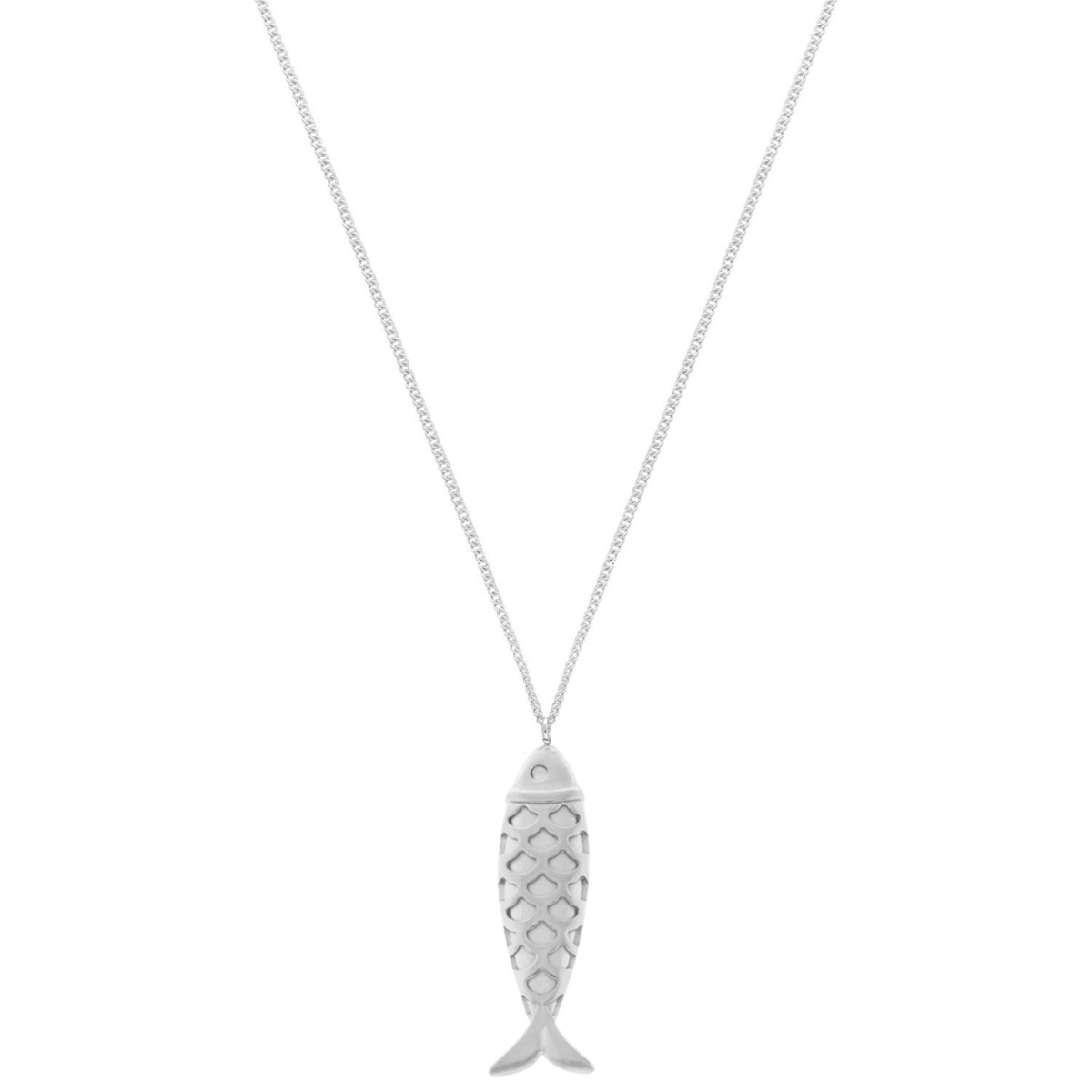 Lange ketting vis