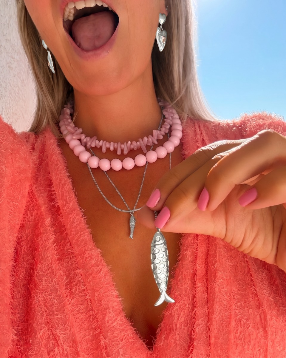 Zilveren necklaceparty vissen