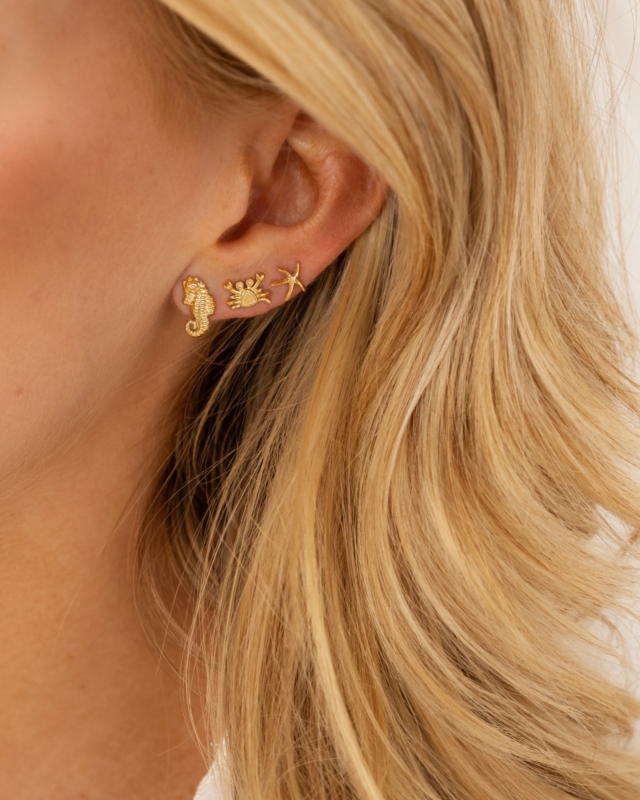 Stud oorbellen earparty goud