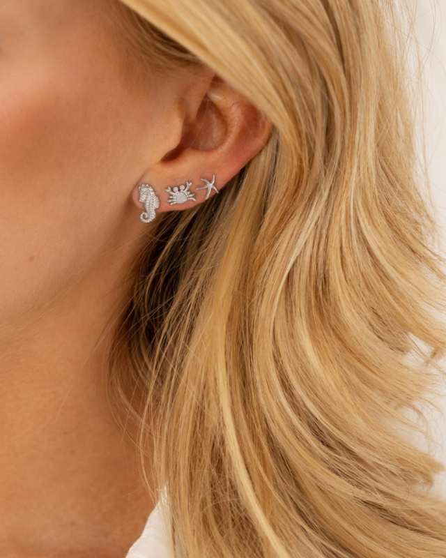 Stud oorbellen earparty zilver