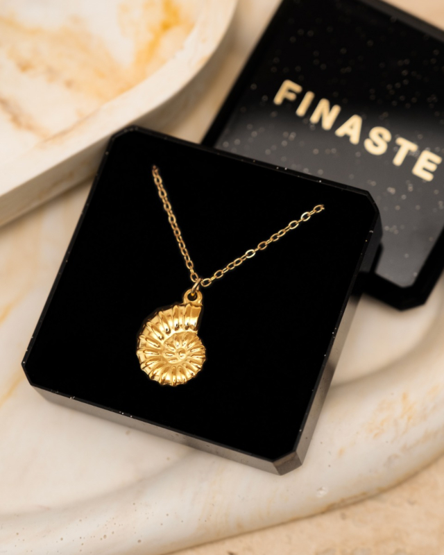 Gouden ketting met schelp met sieradendoosje