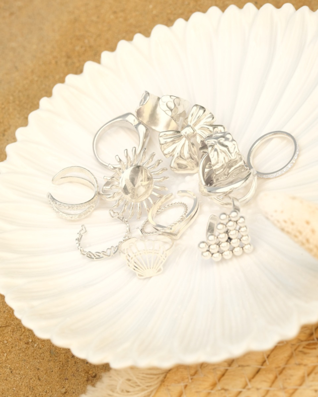 Zilveren ringen mix op schelp