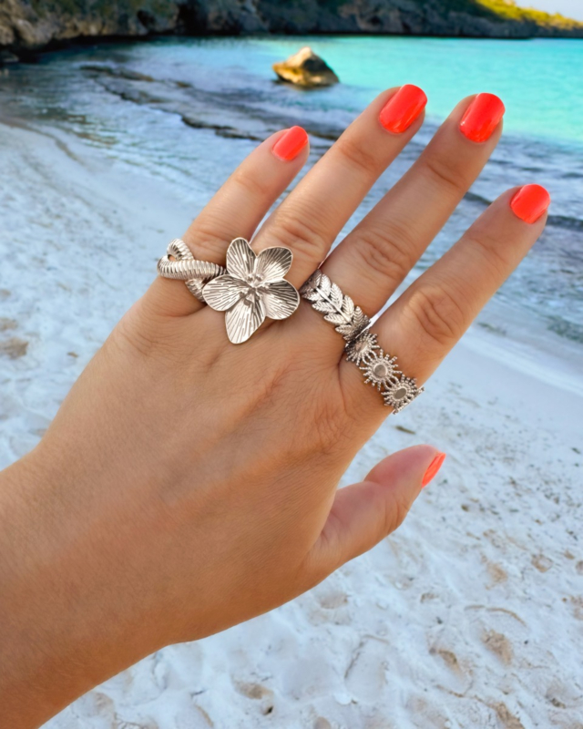 Zomerse ringparty zilver