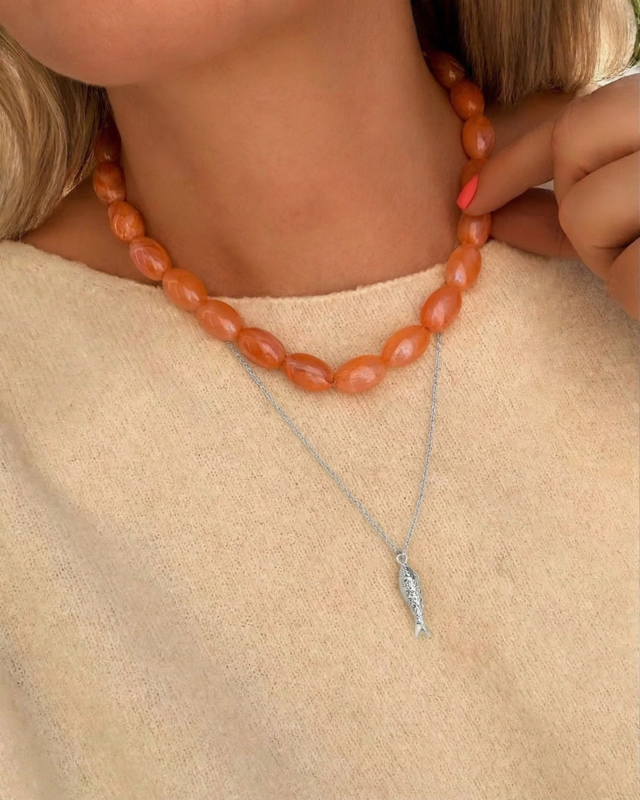 Kettingen mix met zilveren vis ketting