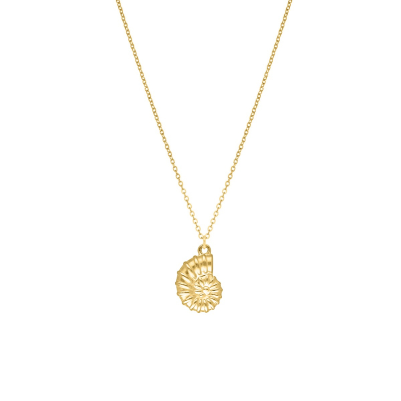Lange ketting schelp goudkleurig