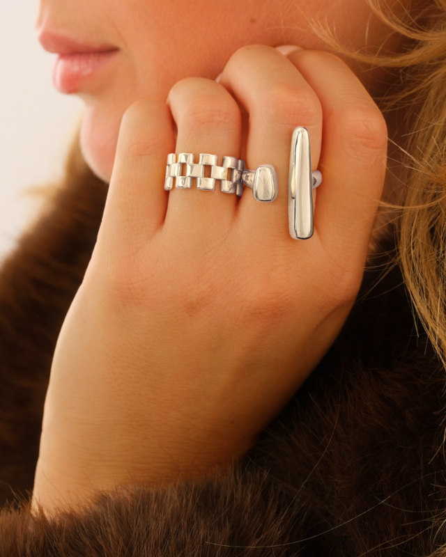 Zilveren ringparty