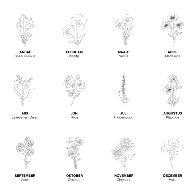 Overzicht geboortebloemen