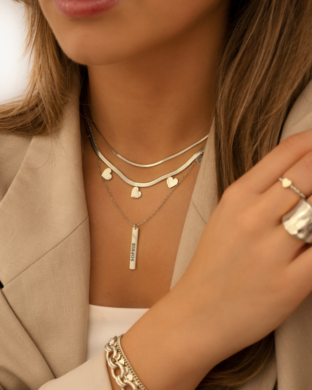 Zilveren necklaceparty met snake ketting