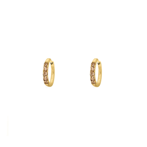 Shiny oorringetjes bruin 8 mm goudkleurig