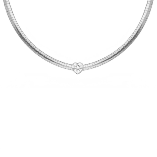 Snake ketting met hartje