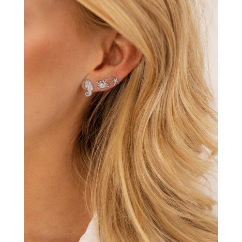 Stud oorbellen krab