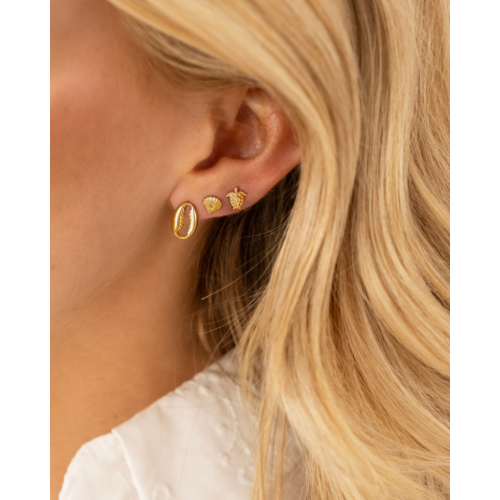 Stud oorbellen schelp goudkleurig