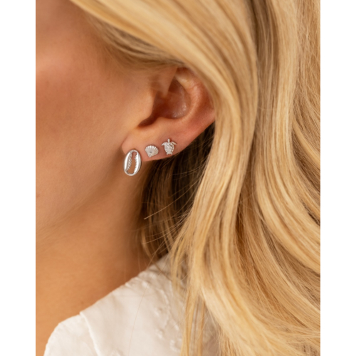 Stud oorbellen schelp