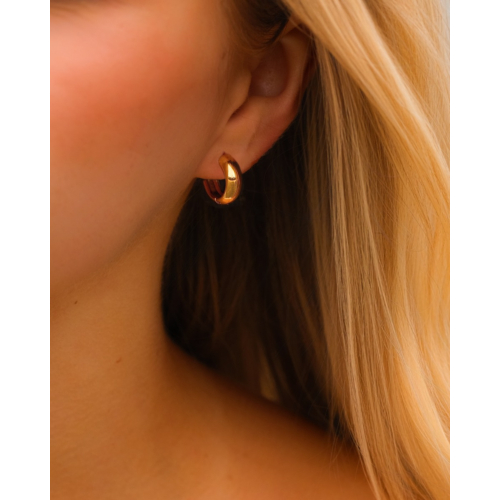 Musthave oorringetjes small goudkleurig