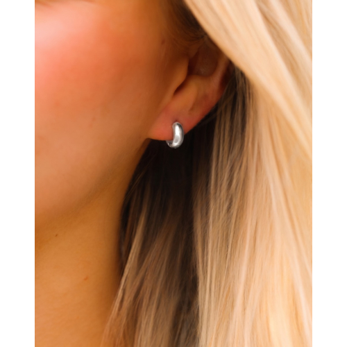 Musthave oorringetjes small 