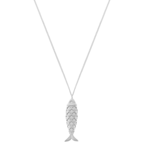 Lange ketting vis