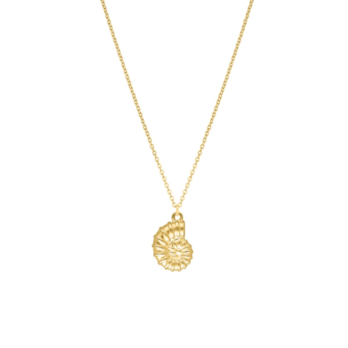 Lange ketting schelp goudkleurig