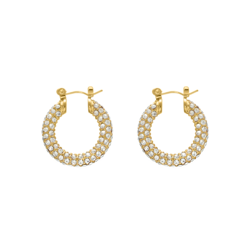 Influencer stone earrings goldplated