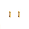 Shiny oorringetjes bruin 10 mm goudkleurig