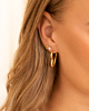 Gouden earparty met hartjes