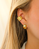 Gouden earparty