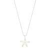 Zilveren zeester ketting