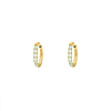 Shiny Oorringetjes Mint 10 Mm Goudkleurig