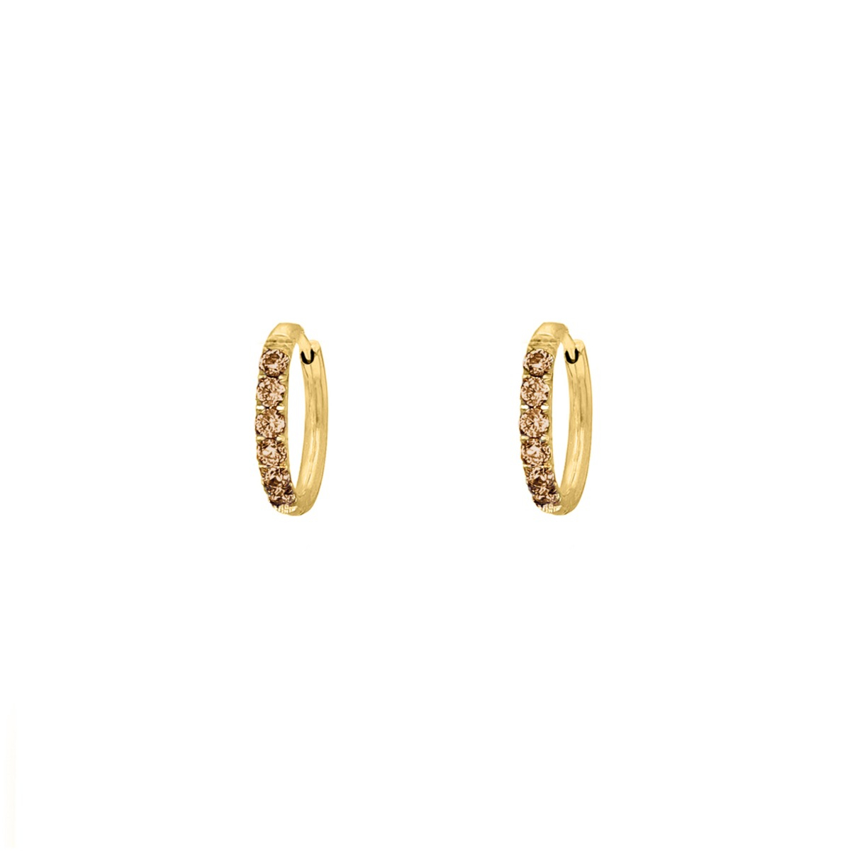 Shiny oorringetjes bruin 10 mm goudkleurig